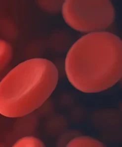 Myasthenia Gravis Profile