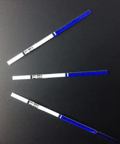 HAV IGM (HEPATITIS A VIRUS, IGM), SERUM