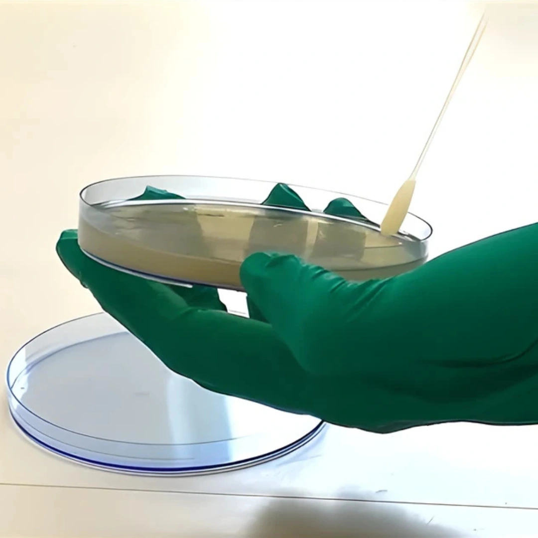 ENVIORMENTAL MONITO- RING - 05 SWABS