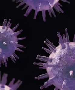 EPSTEIN BARR VIRUS NUCLEAR ANTIGEN IGM ANTIBODIES