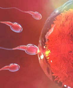 Ovarian Dysfunction Panel