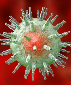 EPSTEIN BARR VIRUS VIRAL CAPSID ANTIGEN IGG