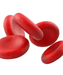 HCV (QUALITATIVE) DETECTION TEST