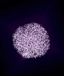 HCV VIRAL LOAD AND HCV GENOTYPING