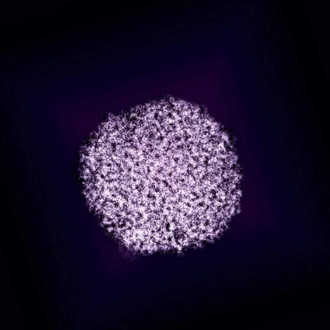 HCV VIRAL LOAD AND HCV GENOTYPING
