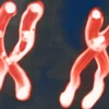 HEMATOLOGIC DISORDER KARYOTYPING (CML, AML, APML, ALL)