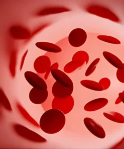 HEMOGLOBIN, WHOLE BLOOD