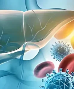 HEPATITIS A VIRUS IGG (HAV IGG), SERUM