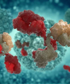 HEPATITIS B CORE TOTAL ANTIBODY, SERUM