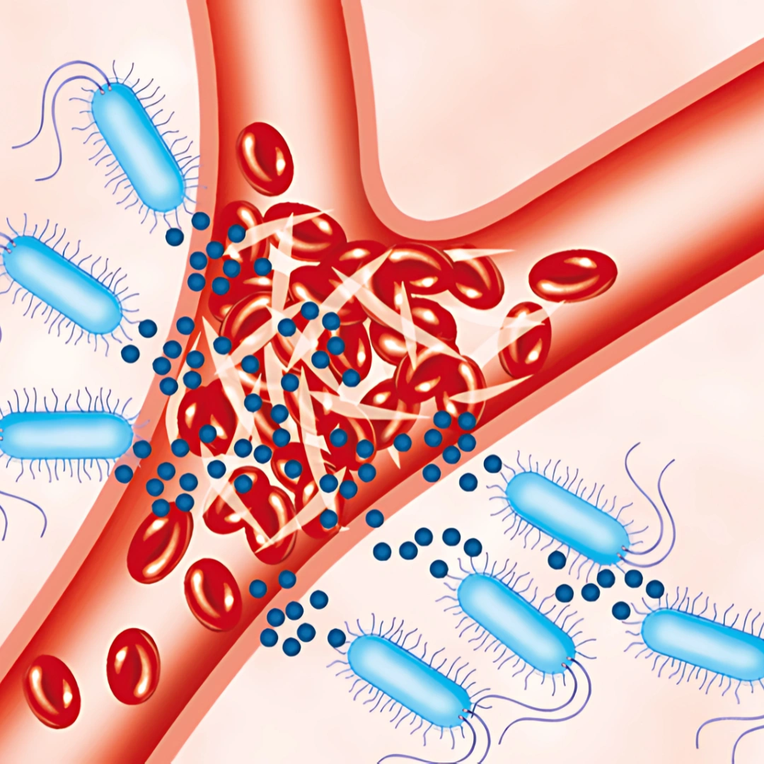 HEPATITIS B ENVELOPE ANTIBODY (HBEAB), SERUM