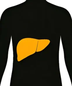 HEPATITIS B SURFACE ANTIBODY (QUANTITATIVE), SERUM