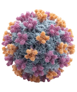 HEPATITIS B SURFACE ANTIGEN (CARD TEST)