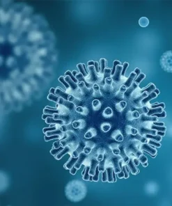 HEPATITIS C ANTIBODY (ANTI HCV IGG), SERUM