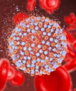 HEPATITIS C VIRUS (HCV) IGM