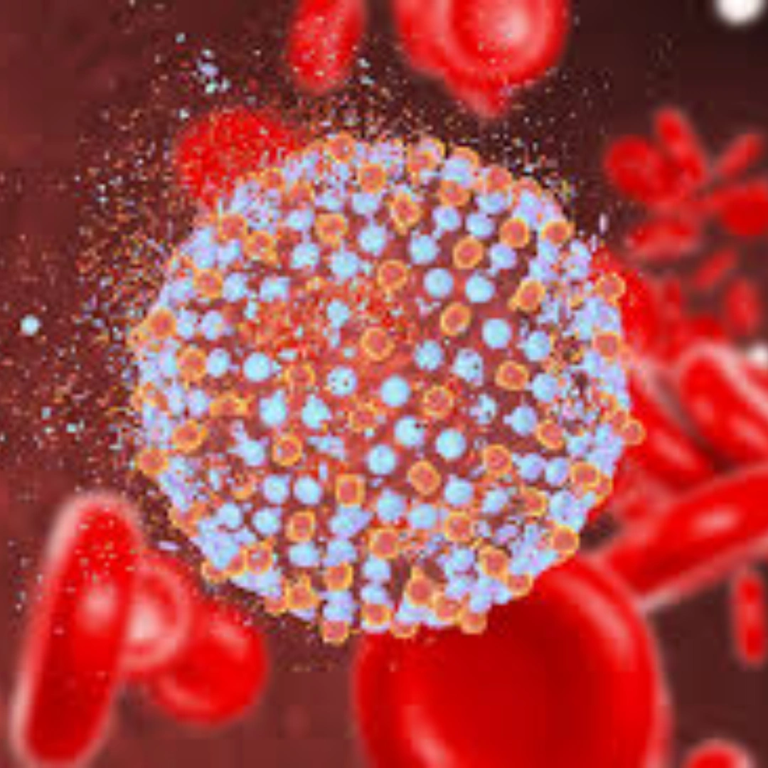 HEPATITIS C VIRUS (HCV) IGM