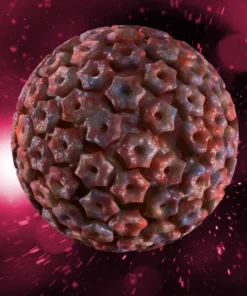 HERPES SIMPLEX VIRUS 1 IGG, SERUM