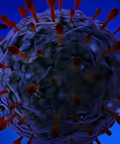 HERPES SIMPLEX VIRUS 1 IGM, SERUM