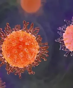 HERPES SIMPLEX VIRUS 1+2 IGG, SERUM