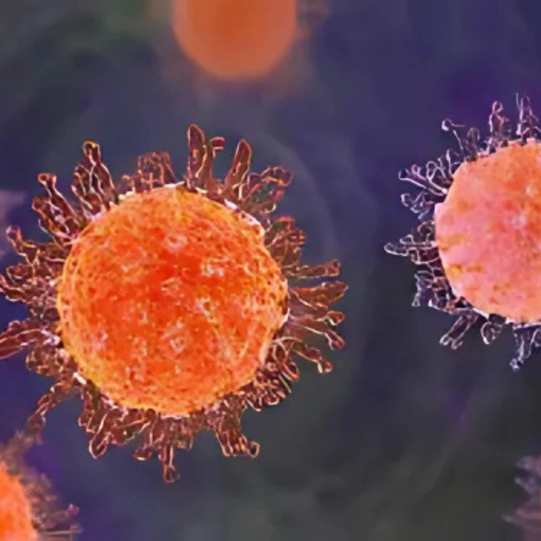 HERPES SIMPLEX VIRUS 1+2 IGG, SERUM