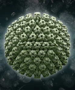 HERPES SIMPLEX VIRUS 1+2 IGM, SERUM