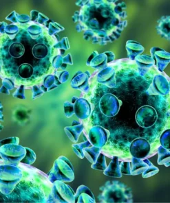 EPSTEIN-BARR VIRUS (EBV), QUALITATIVE PCR