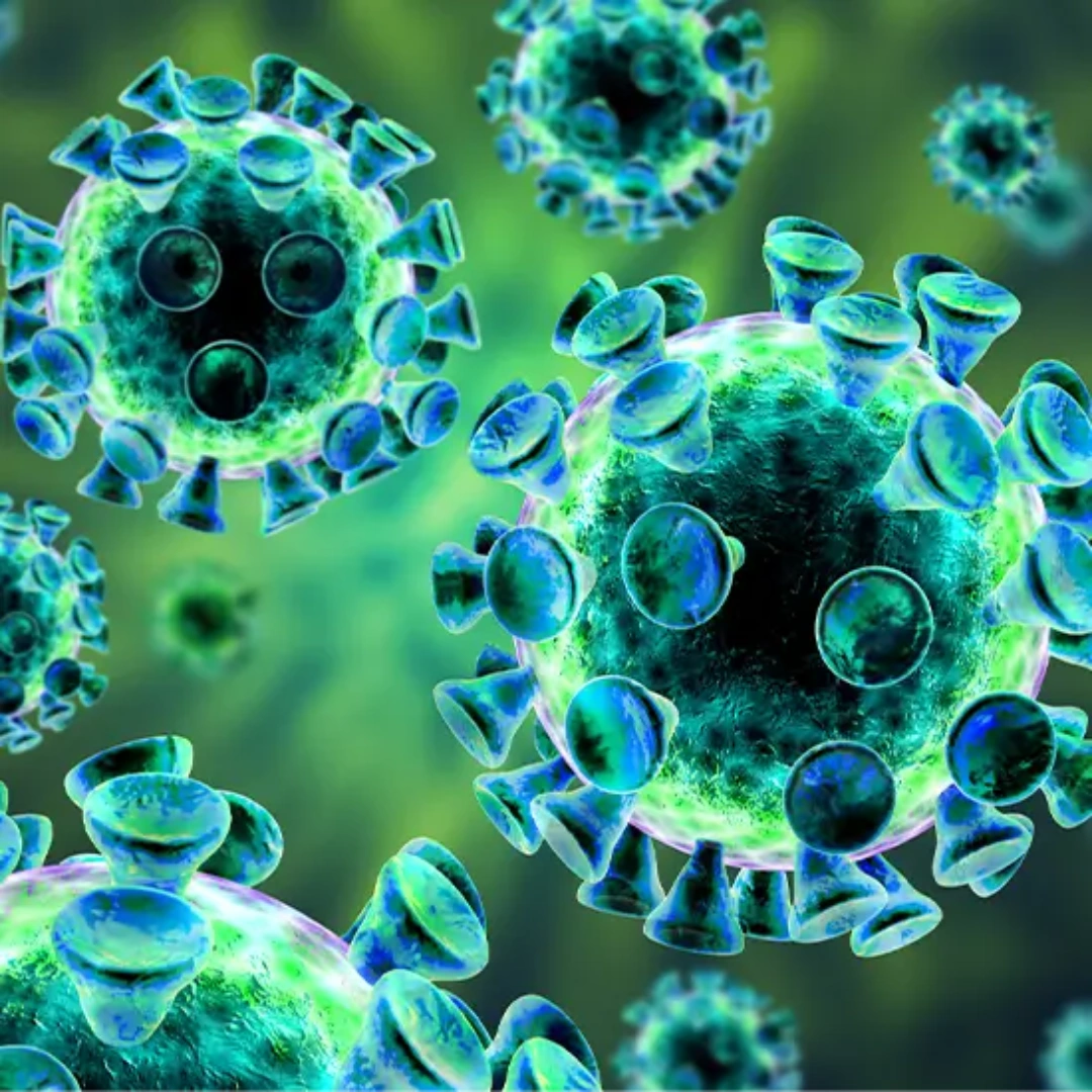 EPSTEIN-BARR VIRUS (EBV), QUALITATIVE PCR