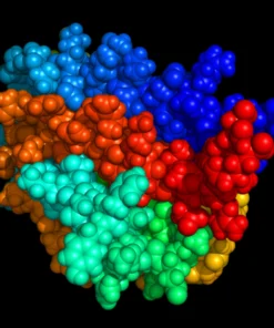 ERYTHROPOIETINÂ€“EPO