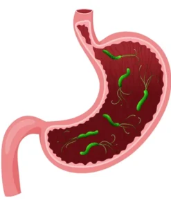 Paritel Cell Antibody