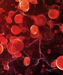 FACTOR XIII ACTIVITY, CITRATED PLASMA