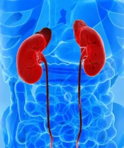 Plasma Renin Activity