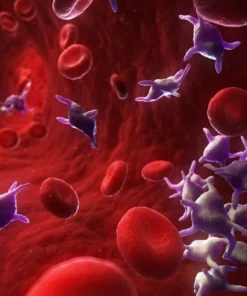 Platelet Count, Whole Blood