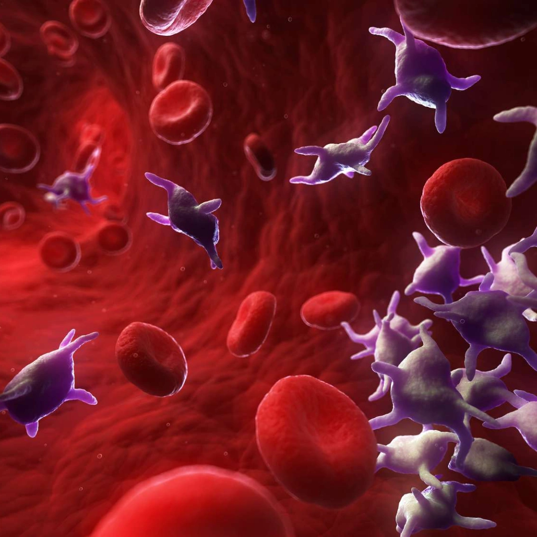 Platelet Count, Whole Blood