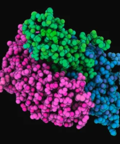 FOLLICLE STIMULATING HORMONE, SERUM