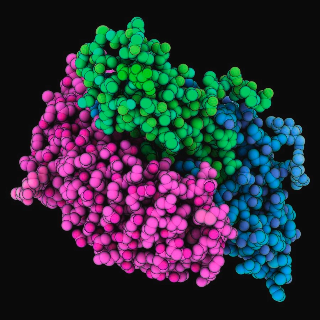 FOLLICLE STIMULATING HORMONE, SERUM