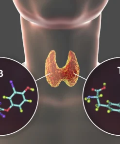 FREE TRI-IODOTHYRONINE (FT3), SERUM
