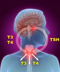 FUNGAL CULTURE-MISC.