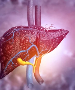 GAMMA GLUTAMYL TRANS- FERASE(GGT), SERUM