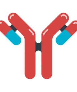 GLIADIN ANTIBODY (IGG)