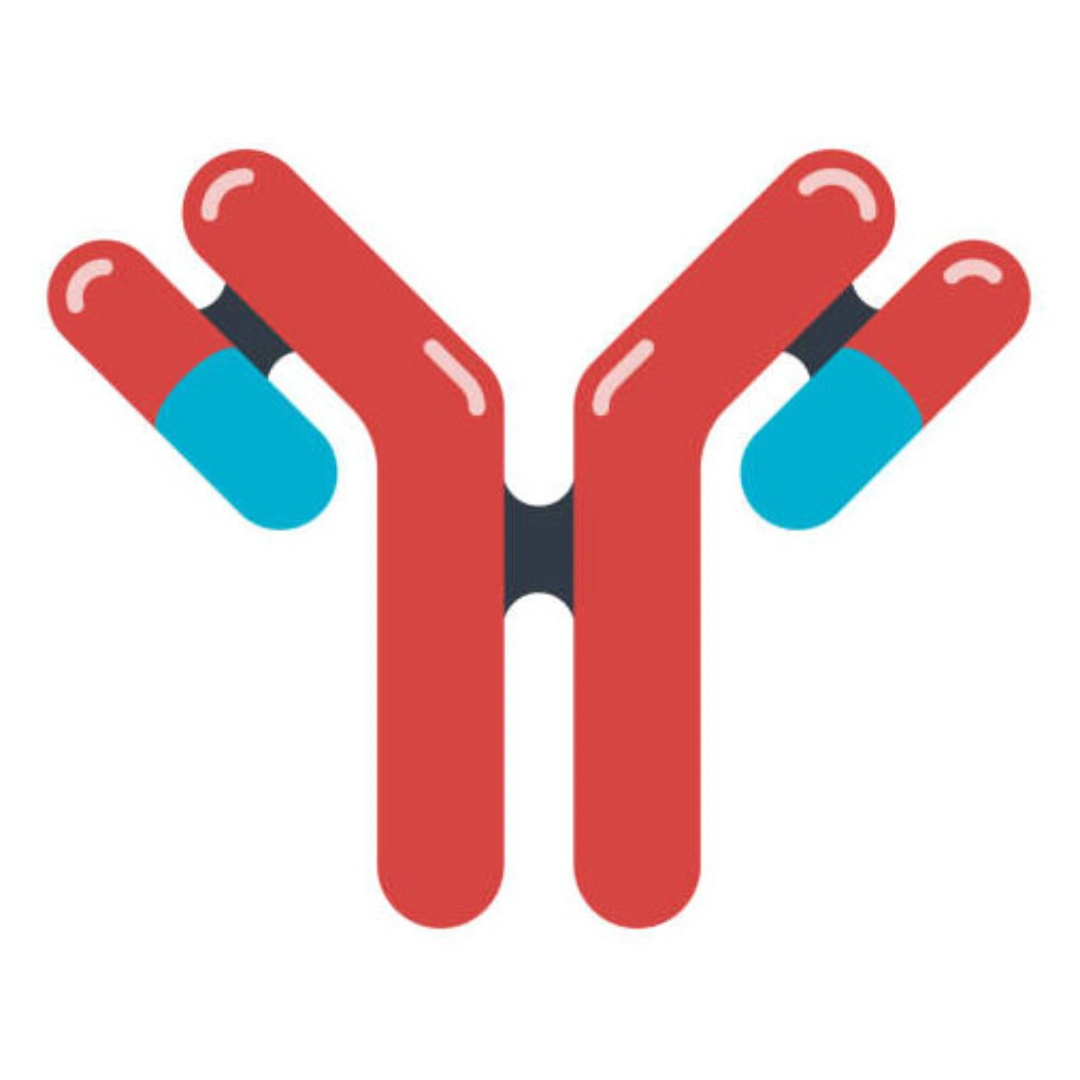 GLIADIN ANTIBODY (IGG)