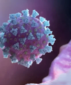 GLUTAMIC ACID DECARBOXYLASE (GAD) ANTIBODY, SERUM