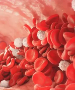 Red Cell Indices, Whole Blood