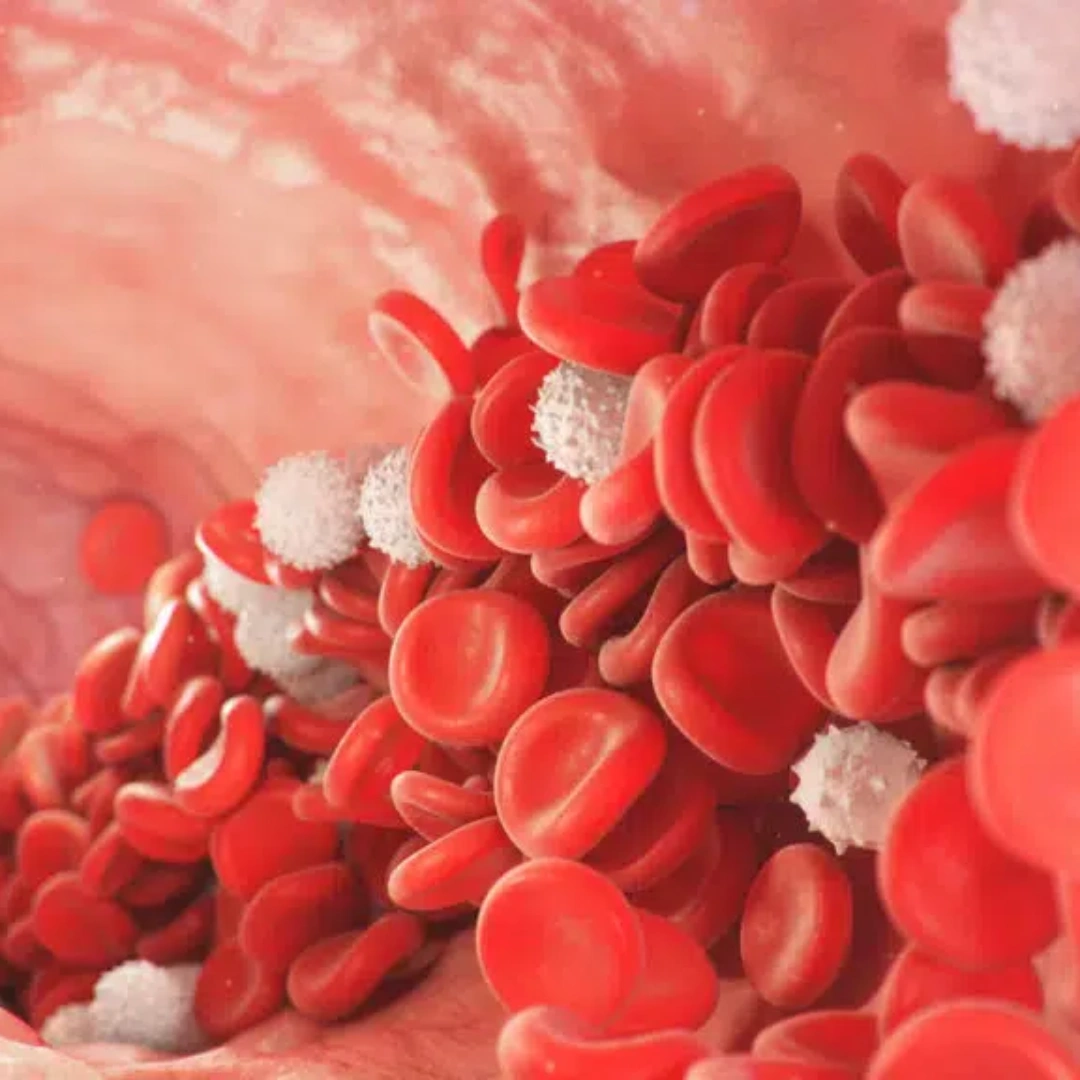 Red Cell Indices, Whole Blood