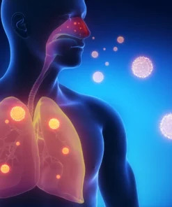 Respiratory Syncytial Virus (Rsv) Igg Antibody