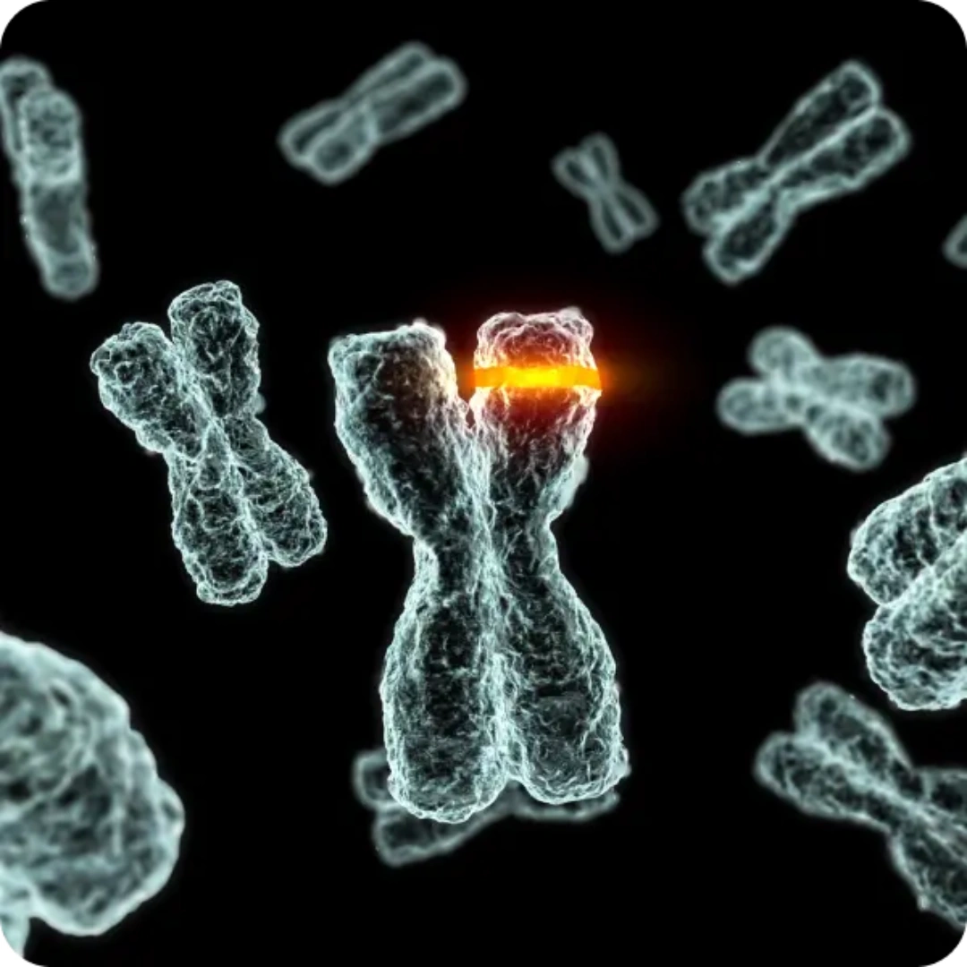 Rett Syndrome Dna Sequencing ( Mecp2 Mutation)