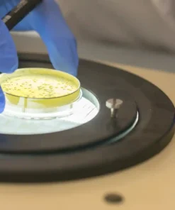 HANGING DROP PREPARATION